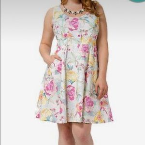 Cherry Velvet 3x Plus Floral Dress